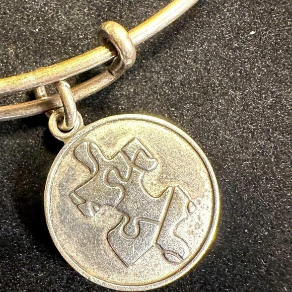 Alex and Ani Autism Awareness Bracelet Silver Metal - Picture 2 of 5